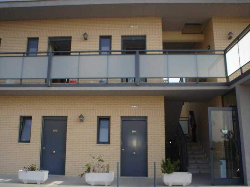 Campo Olivar