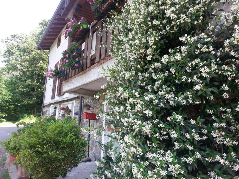 Casa Del Viandante Home Holiday And Rooms