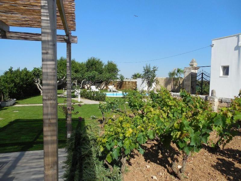 Casale Alle Vigne