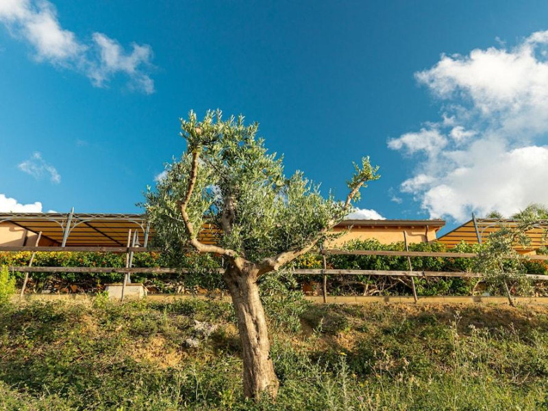 Casette Di Calzata