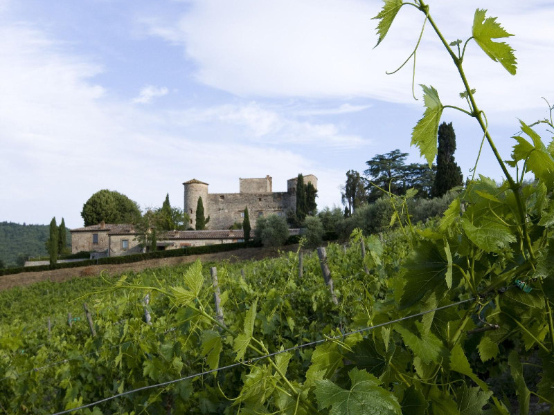 Castello Di Meleto