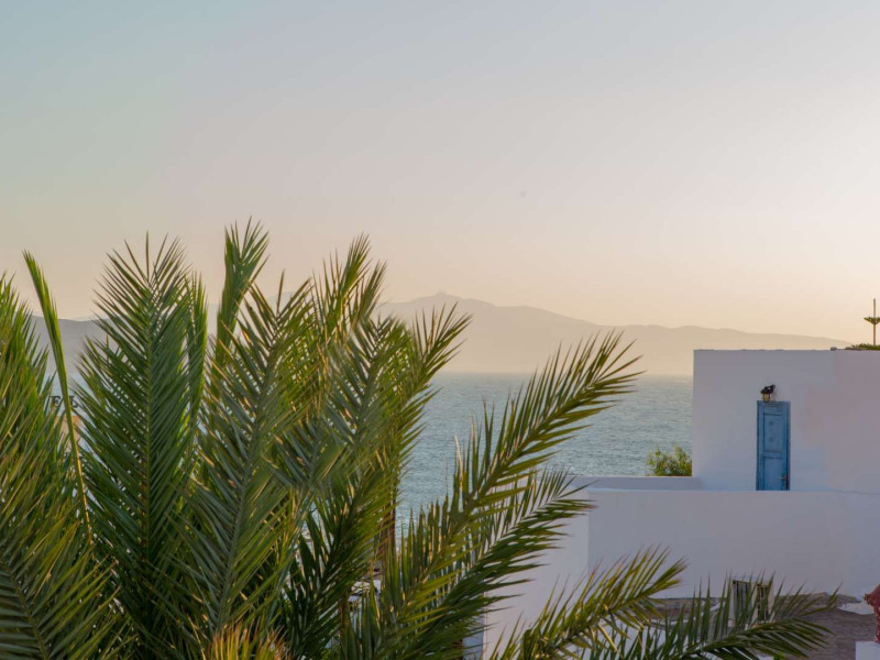 Castle Mansions Naxos