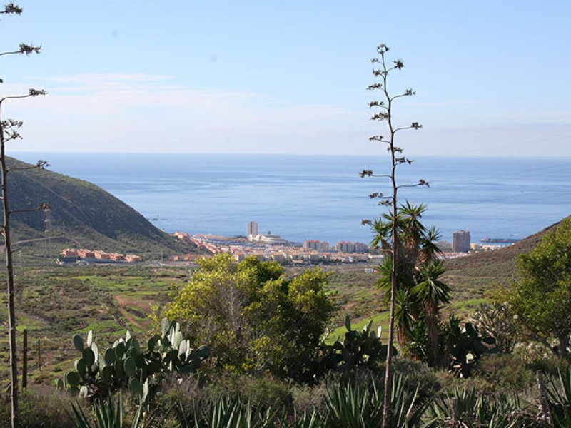 Chayofa Country Club