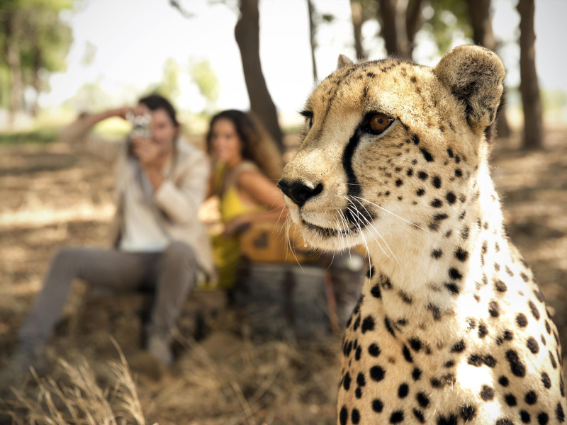 Circuit Africa de Sud si Cascada Victoria