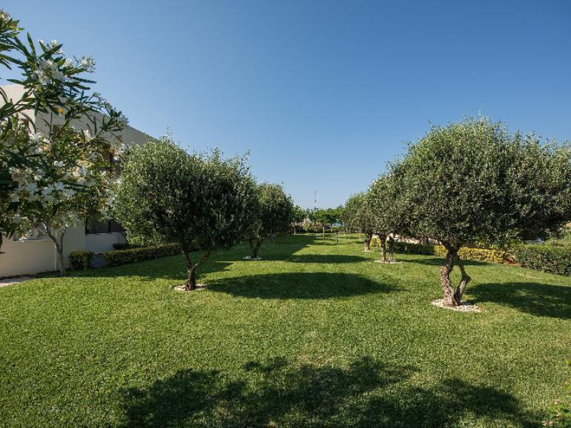 Cretan Dream Royal Luxury Suites