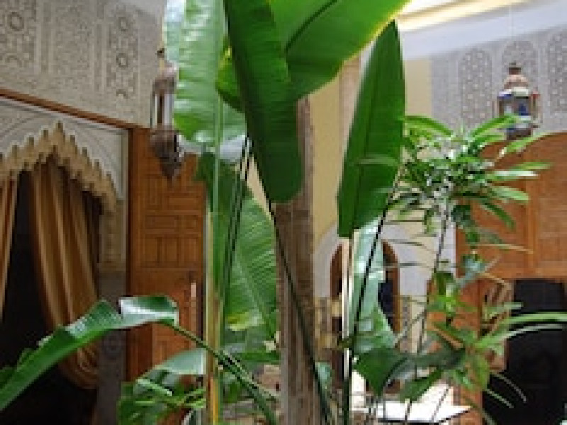 DAR ZOUHOUR