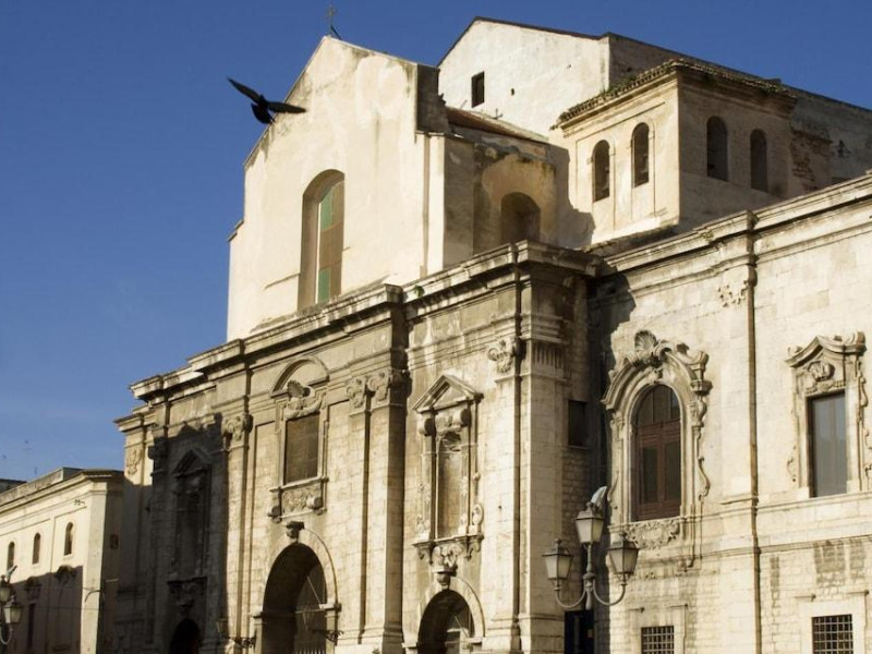 Domatia