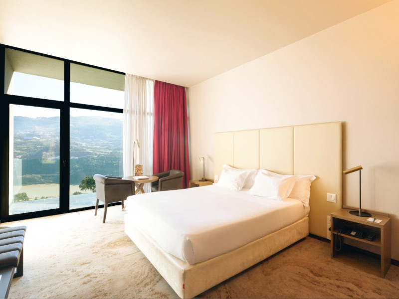 Douro Palace Hotel Resort & SPA