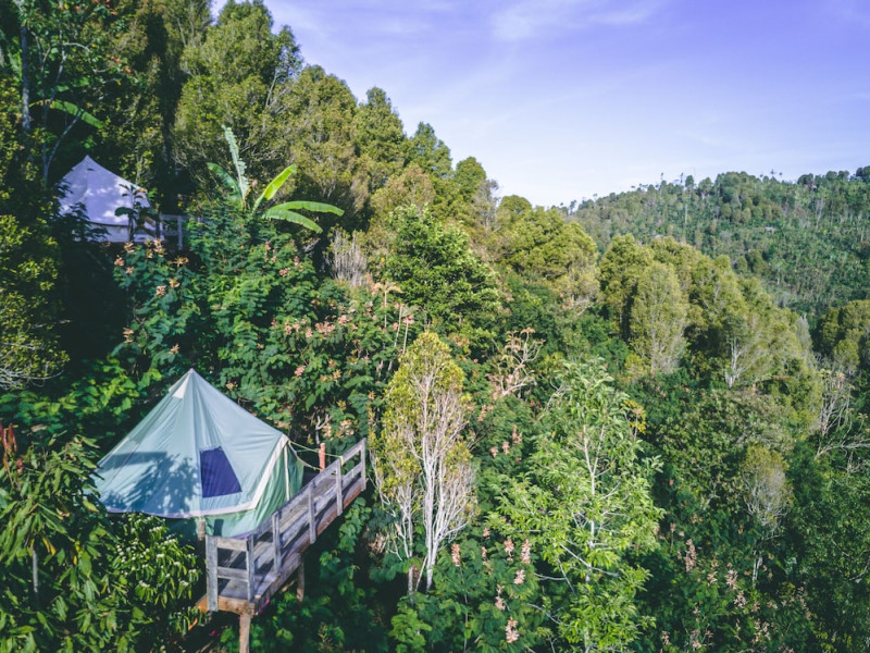 Ekommunity Farmstay & Yoga