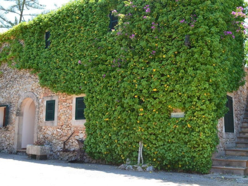 Finca S'aigo
