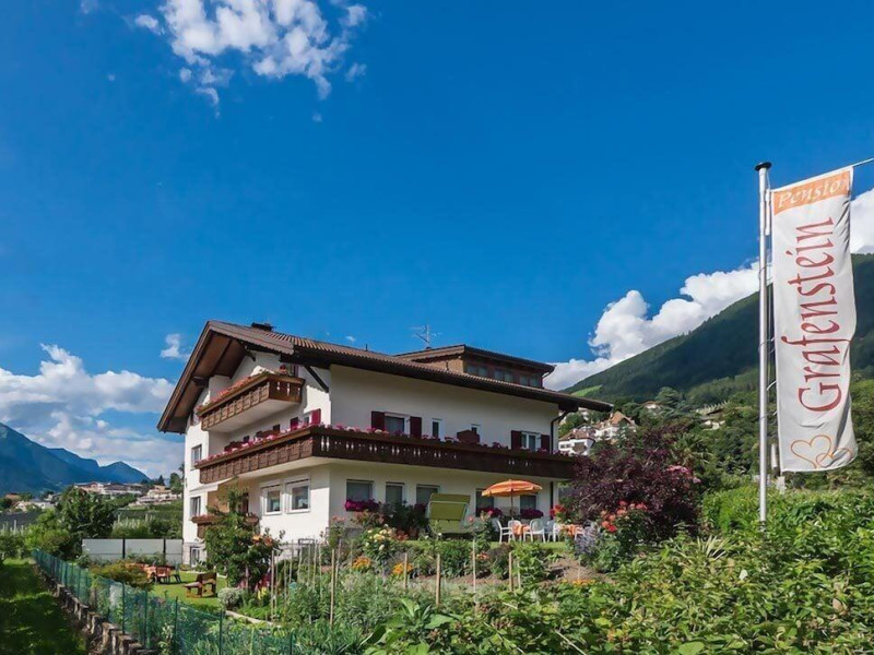 Guesthouse Pension Grafenstein