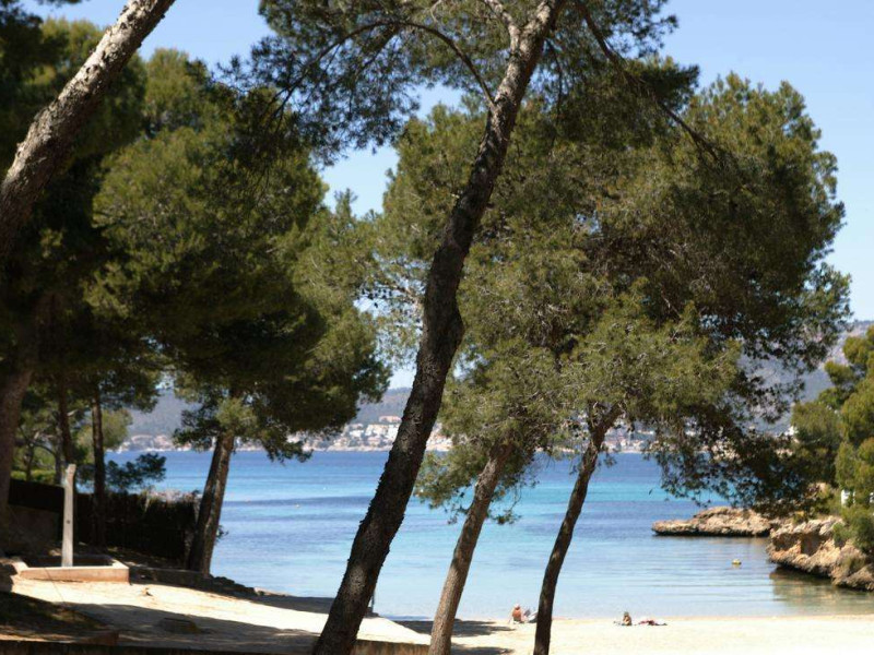 Holiday Center Santa Ponsa