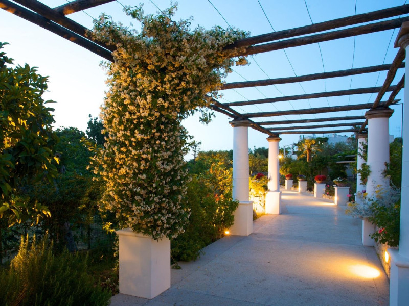 Hotel Al Mulino - Mediterranean Garden Retreat In Anacapri