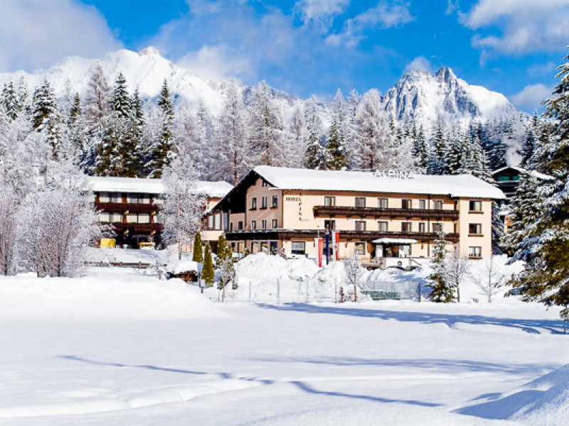 Hotel Alpina