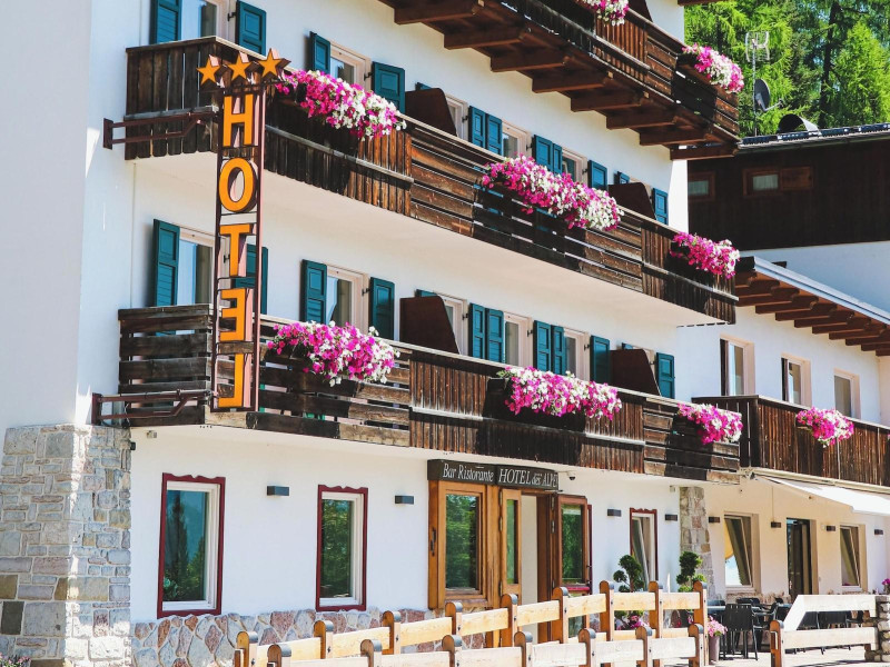 Hotel Des Alpes