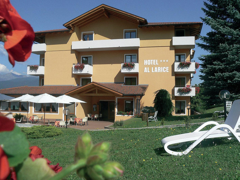 Hotel e Appartamenti Al Larice