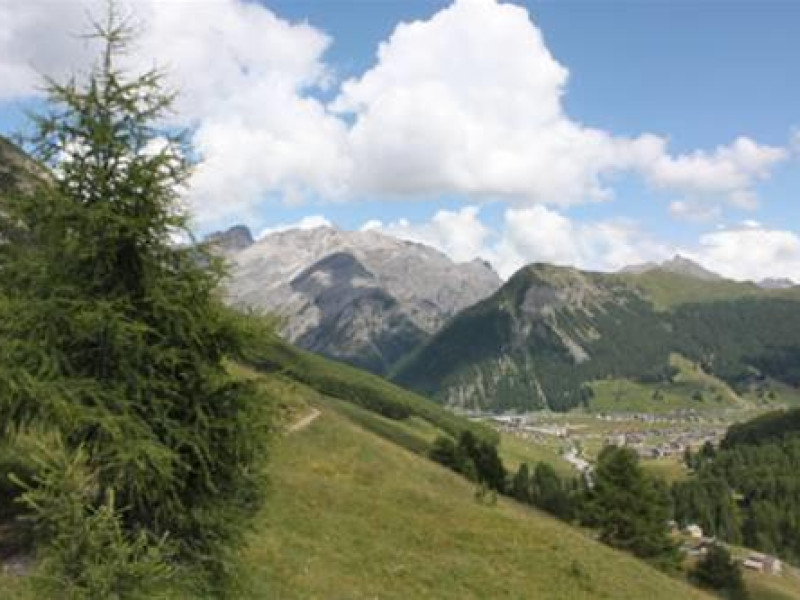 HOTEL LOREDANA