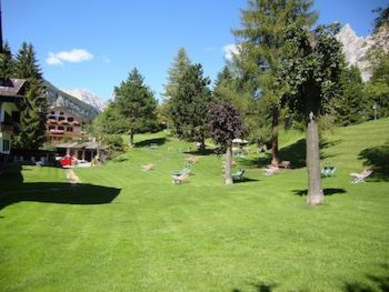 Menardi