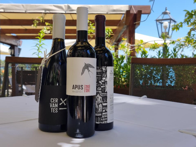 Hotel Palata Venezia