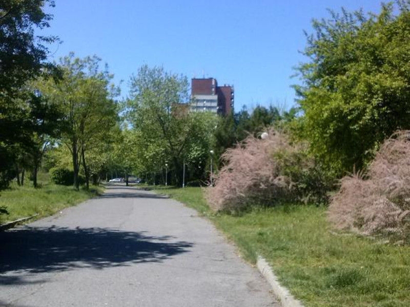 HOTEL PARK