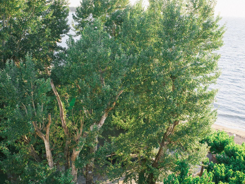 TZAKI