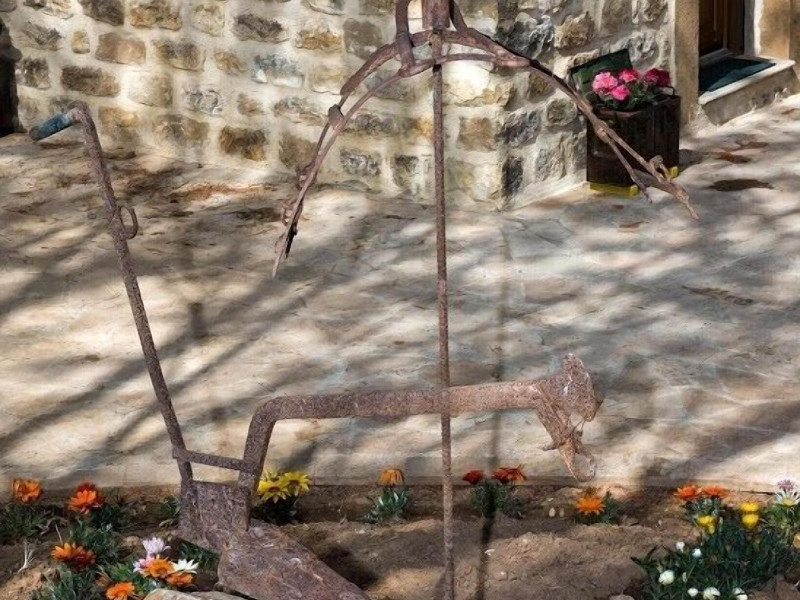 La Quercia E L'asino