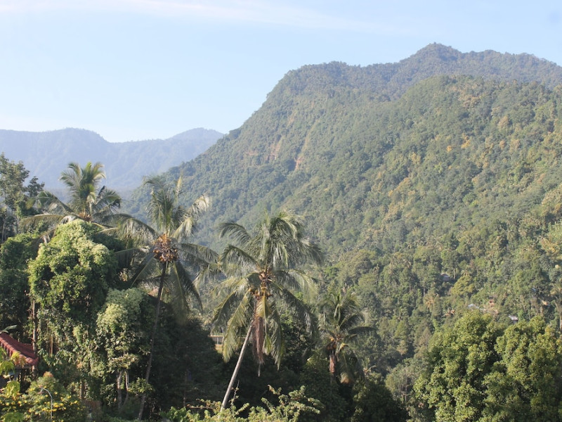 Mandhasativa Homestay