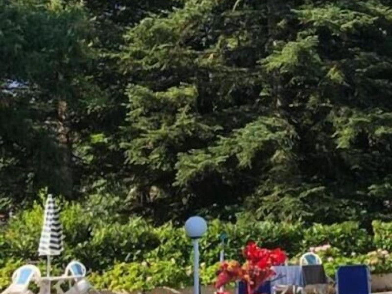 Mondial Park Hotel