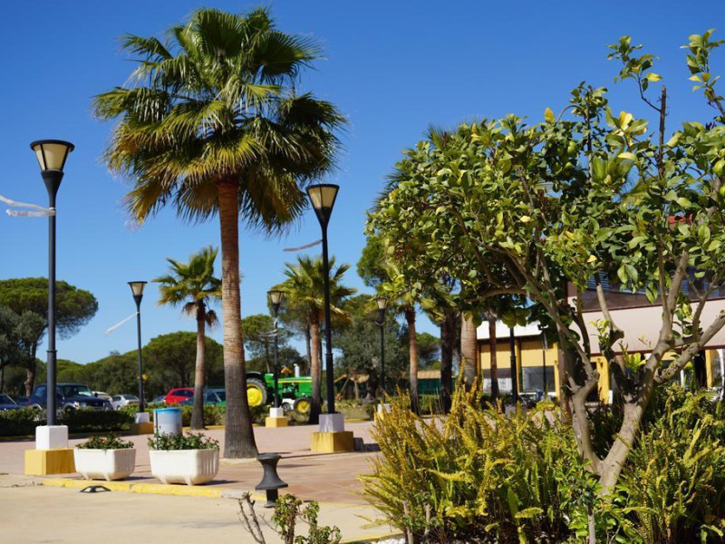 Nazaret De Moguer