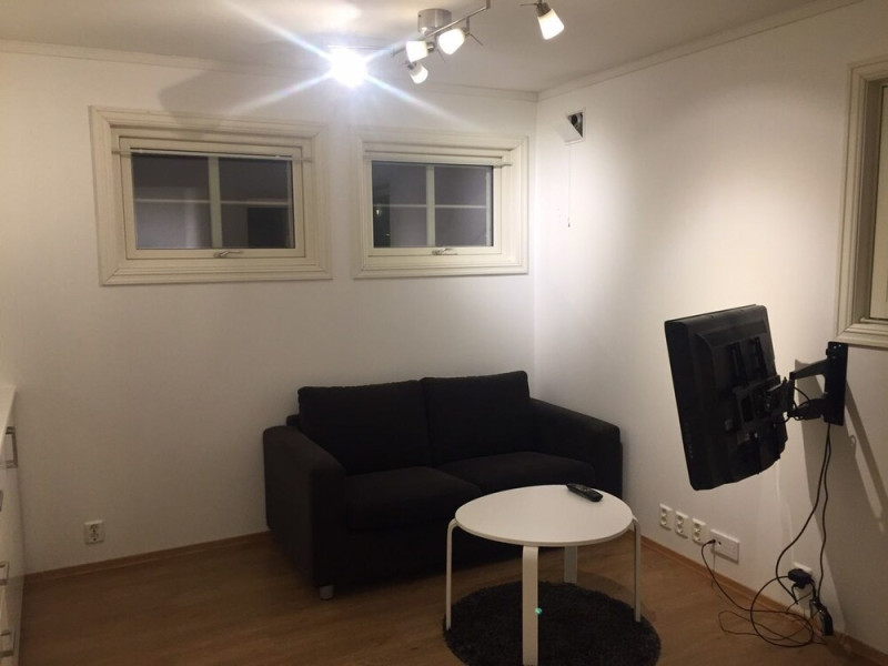 Nice basement apartment in central Oslo
