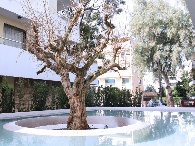 Ogarden Athens