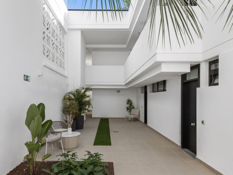 Palmera Sea View