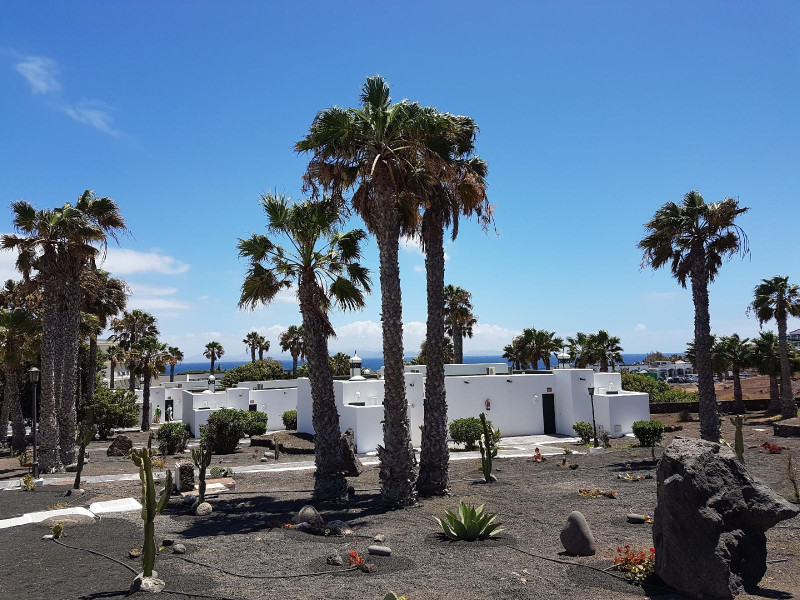 Palmeras Garden