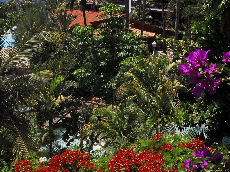 PARQUE TROPICAL