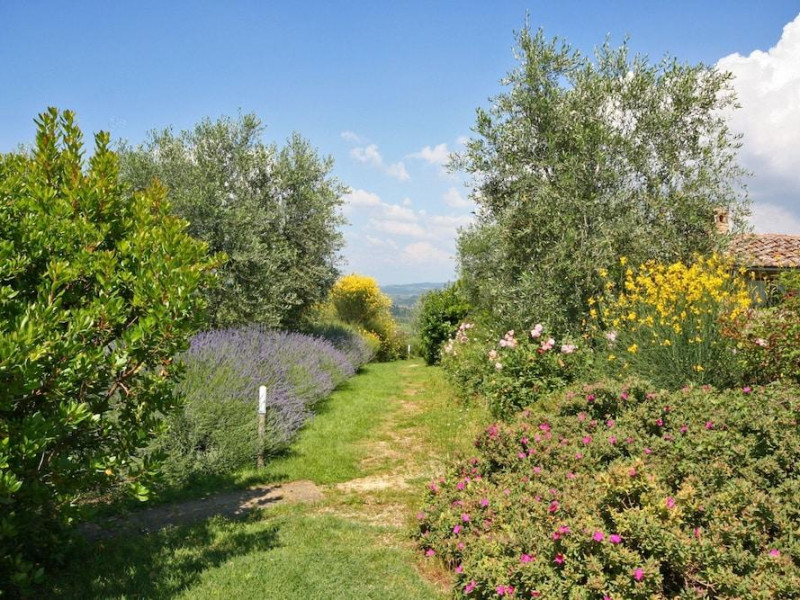 Podere Il Pino