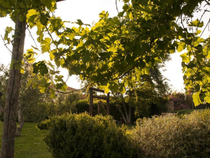 Podere Turicchio