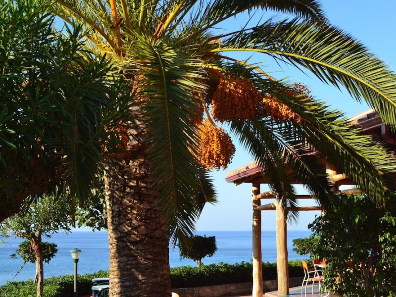 Residence New Paradise