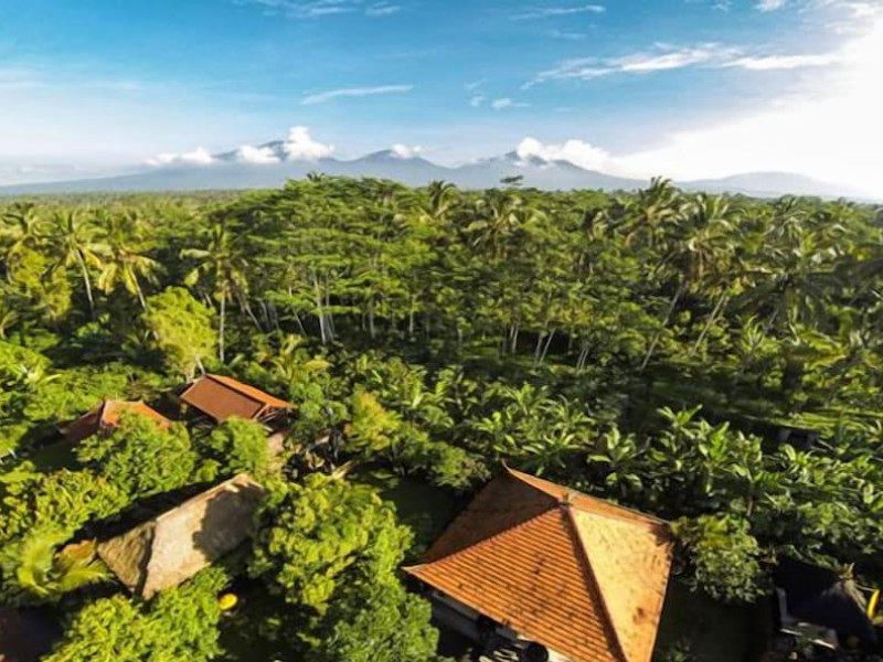 Rumah Desa