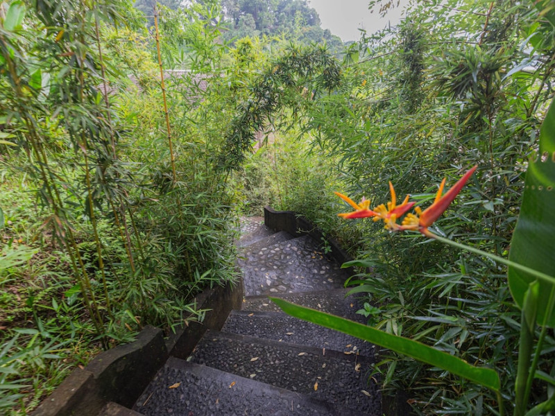 Shigar Livin Bali