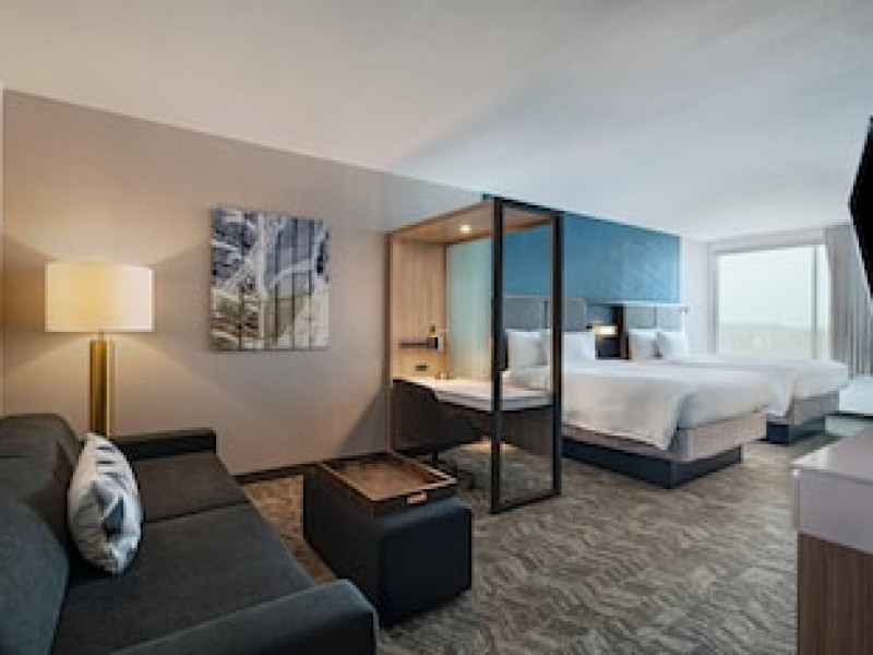 SPRINGHILL SUITES BY MARRIOTT DALLAS RICHARDSON/UNIVERSITY AREA