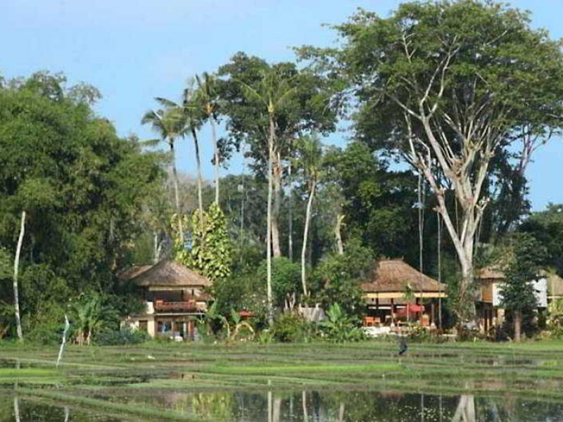 Tamu Seseh