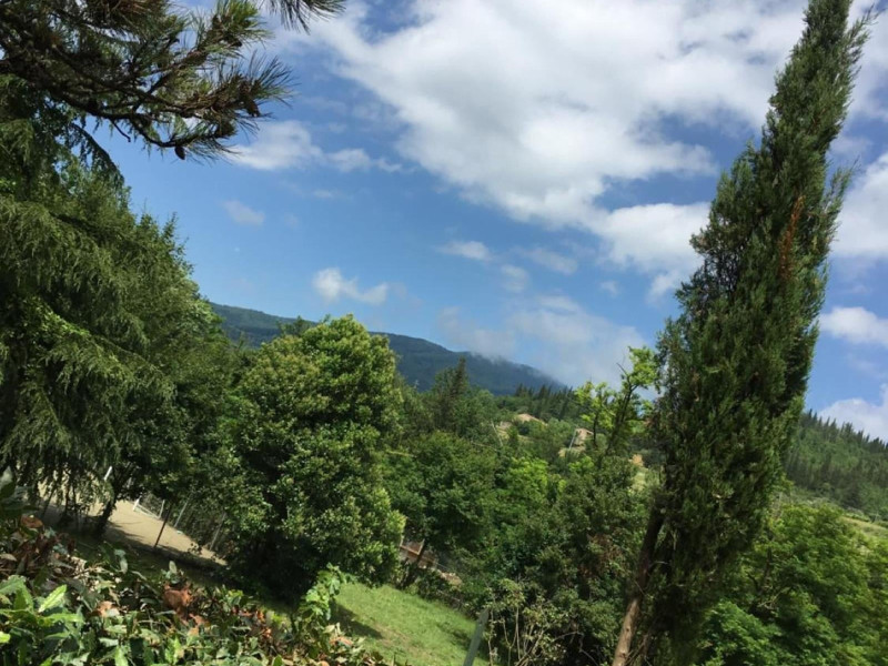 Tenuta Dei Cavalieri