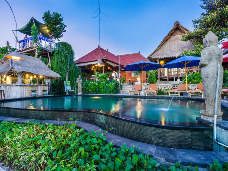 The Dafish Ceningan